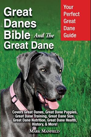 Great Danes Bible And The Great Dane