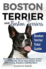 Boston Terrier And Boston Terriers