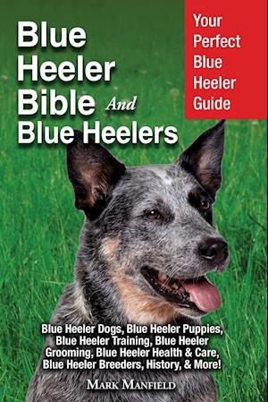 Blue Heeler Bible And Blue Heelers