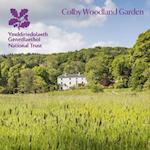 Colby Woodland Garden, Pembrokeshire