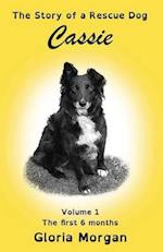 Cassie, the Story of a Rescue Dog