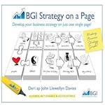 Bgi Strategy on a Page