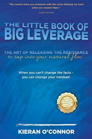 Little Book of Big Leverage