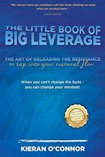 Little Book of Big Leverage