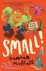 Small!: Sunday Times Best Books 2022