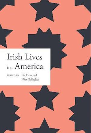 Irish lives in America