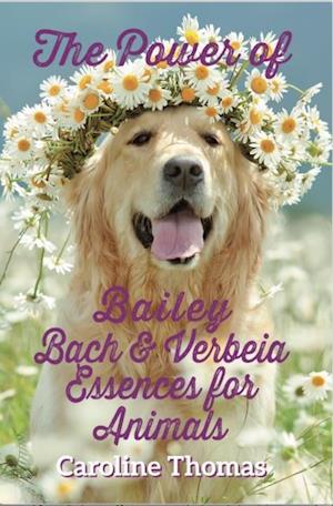 Power of Bailey, Bach and Verbeia Essences for Animals