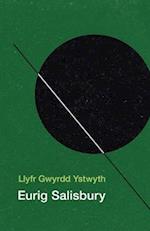 Llyfr Gwyrdd Ystwyth