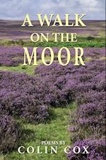 A Walk on the Moor