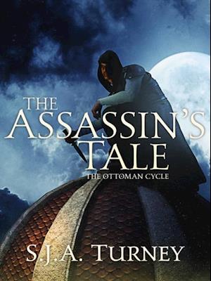 Assassin's Tale