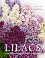 Lilacs