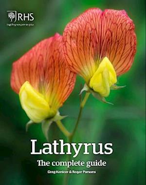 Lathyrus: The Complete Guide