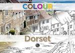 Colour Dorset