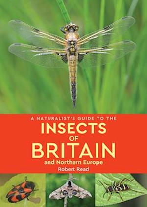 A Naturalist's Guide to the Insects of Britain and Northern Europe (2nd edition)