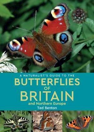 A Naturalist’s Guide to the Butterflies of Britain and Northern Europe (2nd edition)