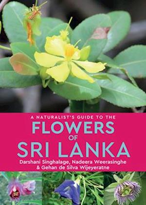 A Naturalist’s Guide to the Flowers of Sri Lanka