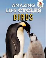 Amazing Life Cycles-Birds