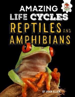 Reptiles and Amphibians - Amazing Life Cycles