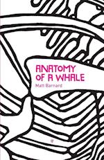 Anatomy of a Whale