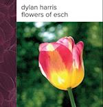 Flowers of Esch 