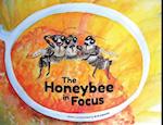 The Honeybee in Focus