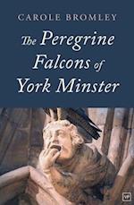 The Peregrine Falcons of York Minster