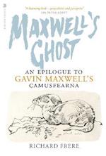 Maxwell's Ghost