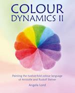Colour Dynamics II