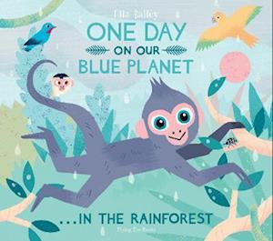 One Day On Our Blue Planet ...In the Rainforest