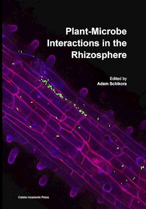 Plant-Microbe Interactions in the Rhizosphere