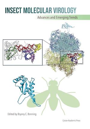 Insect Molecular Virology