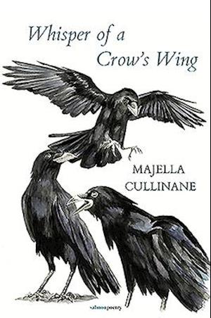 Whisper of a Crow's Wing