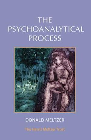The Psychoanalytical Process