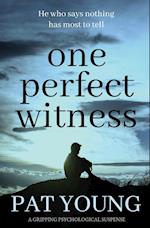 One Perfect Witness