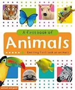 My First Big Book of Animals