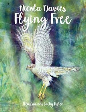 Country Tales: Flying Free