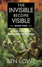 The Invisible Become Visible