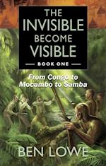 Invisible Become Visible