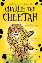 A Day In The Life Of Charlie The Cheetah