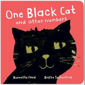 One Black Cat and Other Numbers