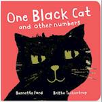One Black Cat and Other Numbers