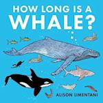 How Long is a Whale?