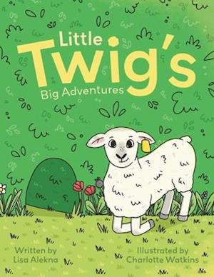 Little Twigg's Big Adventures