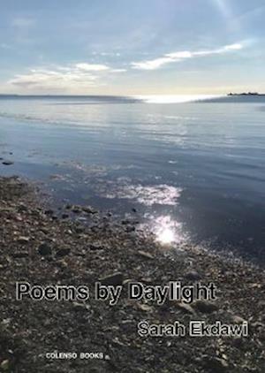 Poems by Daylight