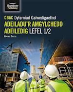 CBAC Dyfarniad Galwedigaethol Adeiladu'r Amgylchedd Adeiledig Lefel 1/2