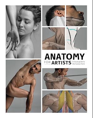 Anatomy for Artists