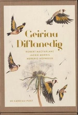 Geiriau Diflanedig (20 Cardiau Post)