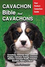 Cavachon Bible And Cavachons