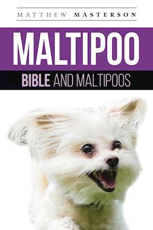 Maltipoo Bible And Maltipoos