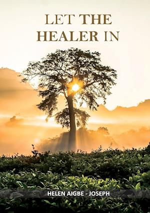 LET THE HEALER IN